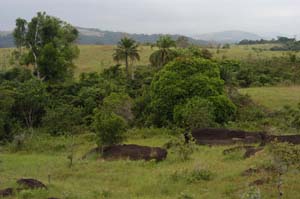 Nationalpark Lope
