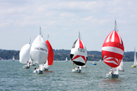 Kopf an Kopf Rennen bei der Münchner Medienregatta