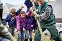 Die Schüler der Katholischen Grundschule Forststraße helfen beim Eichen setzen Die Schüler der Katholischen Grundschule Forststraße helfen beim Eichen setzen
