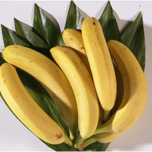 Die Banane: ein wichtiger Magnesiumliferant Die Banane: ein wichtiger Magnesiumliferant