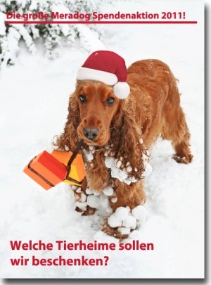 Engagierte Tierfreunde entscheiden mit, welche Tierheime eine Hundefutterspende von Meradog erhalten Engagierte Tierfreunde entscheiden mit, welche Tierheime eine Hundefutterspende von Meradog erhalten