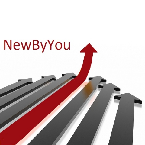 Logo des Gründungswettbewerbes NewByYou-Deine Idee zum Erfolg Logo des Gründungswettbewerbes NewByYou-Deine Idee zum Erfolg