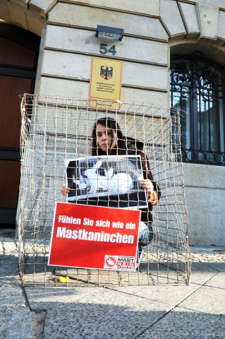 Deutscher Tierhilfe Verband beteiligt sich an Tierschutz-Aktion