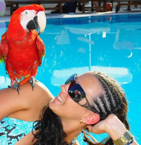 Italienerin mit Sonnenbrille am Pool