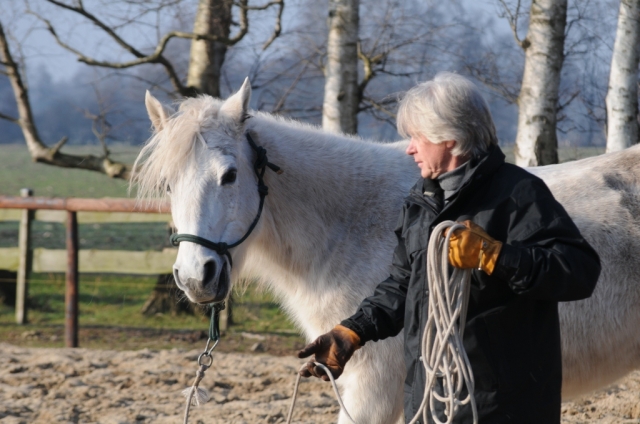 Führungskräfte Coaching mit Pferd