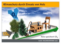 Holz speichert CO2 ein Leben lang. (Copyright: HAF)