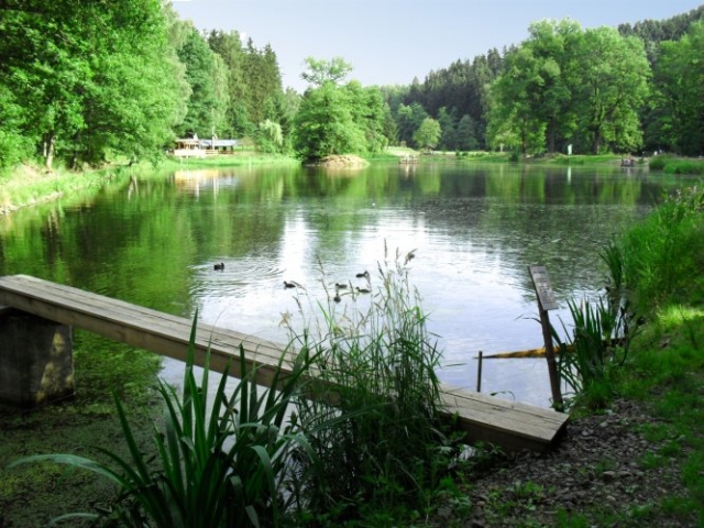 Der Floßteich