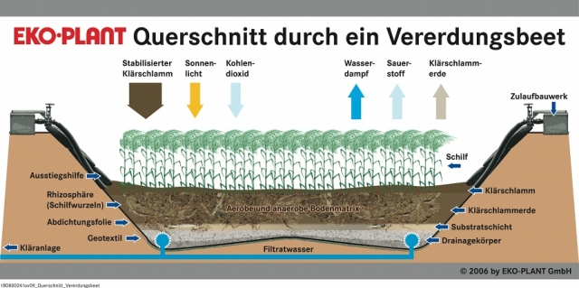 Querschnitt durch ein Vererdungsbeet