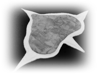 SweatPad SweatPad