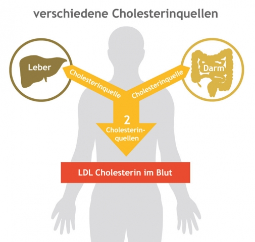 Rotes Reismehl bei erhöhtem Cholesterin Rotes Reismehl bei erhöhtem Cholesterin