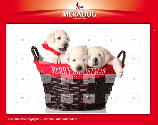 Meradog Online Adventskalender mit kurzweiligenÜberraschungen und vielen tollen Preisen. Meradog Online Adventskalender mit kurzweiligenÜberraschungen und vielen tollen Preisen.