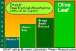 Erhöhte Cholesterinwerte & Bluthochdruck Erhöhte Cholesterinwerte & Bluthochdruck