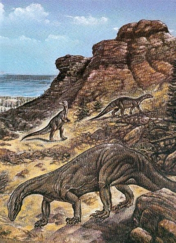 Dinosaurier Plateosaurus Dinosaurier Plateosaurus