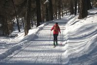 Winterzauber: Almrausch-Gäste können auf einer Skitour tief in die verschneite Natur des Vinschgaus Winterzauber: Almrausch-Gäste können auf einer Skitour tief in die verschneite Natur des Vinschgaus
