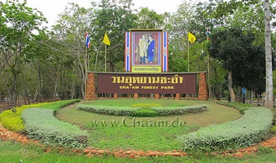 Bild vom Forest Park in Cha Am Bild vom Forest Park in Cha Am