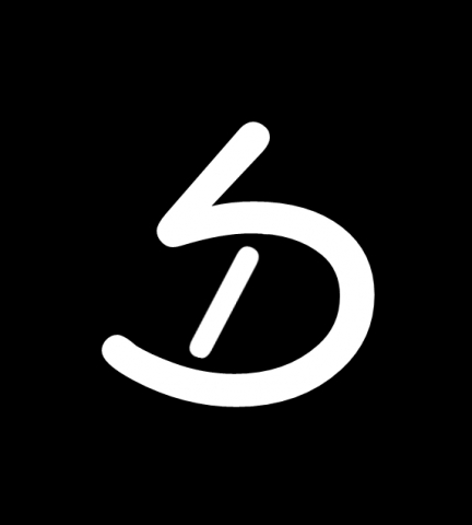 David Schnabel Logo David Schnabel Logo