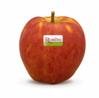 Rubens® - die neue Apfelsorte mit mehr Geschmack Rubens® - die neue Apfelsorte mit mehr Geschmack