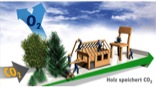 Holz speichert CO2 ein Leben lang. (Copyright: HAF) Holz speichert CO2 ein Leben lang. (Copyright: HAF)