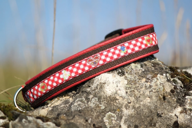 Hundehalsband selbst zusammenstellen