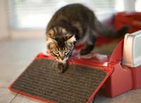 Zuverlässig sauber: Mit der LitterMaid Katzentoilette fühlen sich auch sensible Hausgenossen wohl.