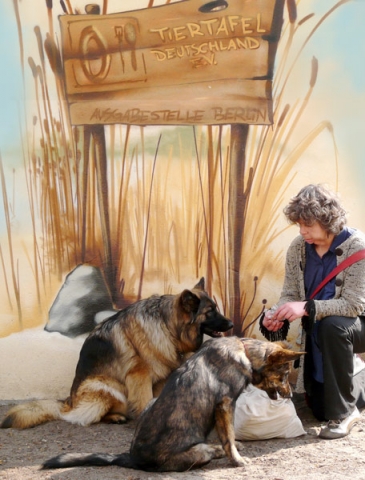 Frau sitzt mit Hund vor der Ausgabestelle der Tiertafel Frau sitzt mit Hund vor der Ausgabestelle der Tiertafel