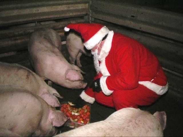 Weihnachtsmann bei den Tieren Weihnachtsmann bei den Tieren