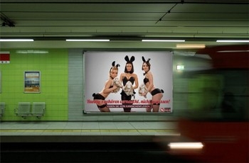 Heiße Bunnys plakatieren für den Tierschutz - Kaninchenmast, nein danke Heiße Bunnys plakatieren für den Tierschutz - Kaninchenmast, nein danke