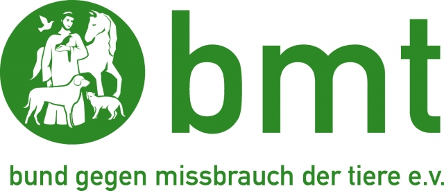 Bei der Silvesterknallerei an Tiere denken - bmt fordert zur Rücksichtnahme auf!