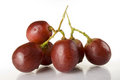 Nicht nur Obst ist gesund & lecker Nicht nur Obst ist gesund & lecker