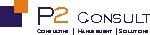 P2 Consult P2 Consult