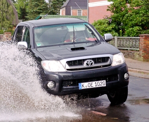 www.mit-Pferden-reisen veröffentlicht umfangreichen Pickup-Test