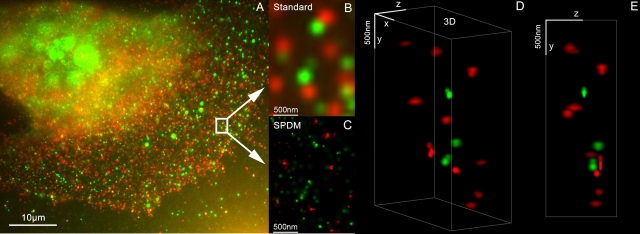 In der pharmazeutischen Forschung und personalisierten Medizin spielt die Super Resolution Mikroskop In der pharmazeutischen Forschung und personalisierten Medizin spielt die Super Resolution Mikroskop