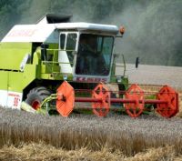 Die Getreideernte 2008 übertrifft die Erwartungen der Landwirte (Foto: Proplanta) Die Getreideernte 2008 übertrifft die Erwartungen der Landwirte (Foto: Proplanta)