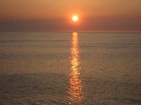 Sonnenuntergänge und Palmen Posterxxl Shop