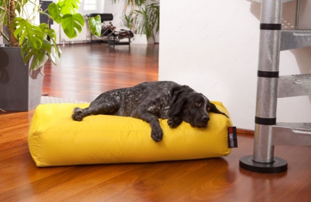 Für Hunde gemacht: Das Kissen?Dogbed? ist bequem und pflegeleicht.