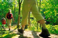 Drehkreuz des Wanderns: Der Naturpark Frankenwald verfügt über mobilen Tourguide