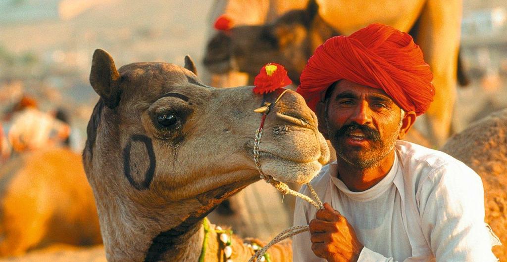 Rajasthan_SKR Reisen