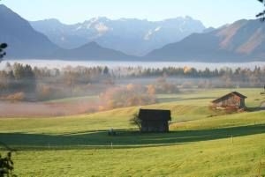 Mooslandschaft im Herbst Mooslandschaft im Herbst