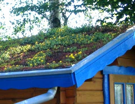 Ein Gründach von Dachdecker Sauer Ein Gründach von Dachdecker Sauer