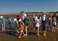 Auf der Suche nach dem Wattwurm: „Blaues Klassenzimmer” in Cuxhaven