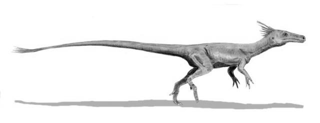 Raub-Dinosaurier Juravenator. Zeichnung: Nobu Tamura Raub-Dinosaurier Juravenator. Zeichnung: Nobu Tamura
