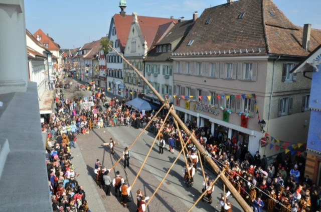 Narrenbaumstellen in Stockach