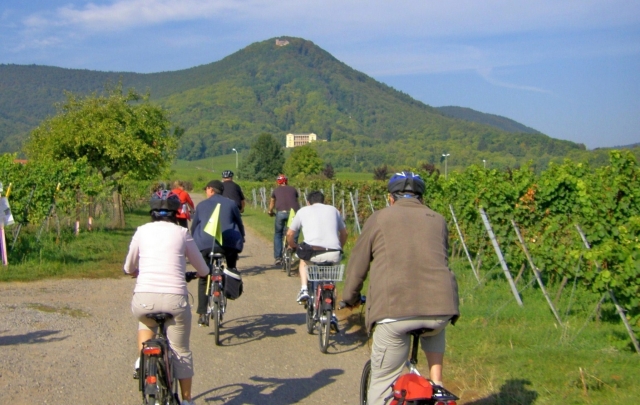 Begleitetete Pedelec Probefahrten mit genussradeln-pfalz im Urlaub und an Wochenenden Begleitetete Pedelec Probefahrten mit genussradeln-pfalz im Urlaub und an Wochenenden