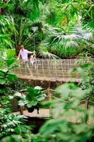 Center Parcs - Jungel Experience Center Parcs - Jungel Experience