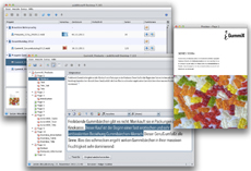 Der publiXone Desktop ist ein effizientes Werkzeug für den klassischen Bearbeitungsprozess. Der publiXone Desktop ist ein effizientes Werkzeug für den klassischen Bearbeitungsprozess.