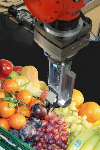 Griff in die (Obst-) Kiste Griff in die (Obst-) Kiste