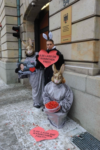 Tierschutz-Aktion zum Valentinstag:?Frau Aigner, zeigen Sie ein Herz für Mastkaninchen? Tierschutz-Aktion zum Valentinstag:?Frau Aigner, zeigen Sie ein Herz für Mastkaninchen?