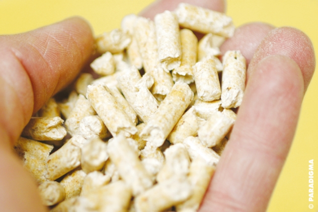 Pelletsnutzer bezahlen pro Kilowattstunde nur halb so viel wie Betreiber einerÖlheizung. Pelletsnutzer bezahlen pro Kilowattstunde nur halb so viel wie Betreiber einerÖlheizung.
