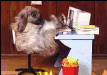 Bei der Arbeit....