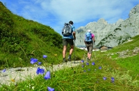 Wanderung zur Gruttenhütte Wanderung zur Gruttenhütte